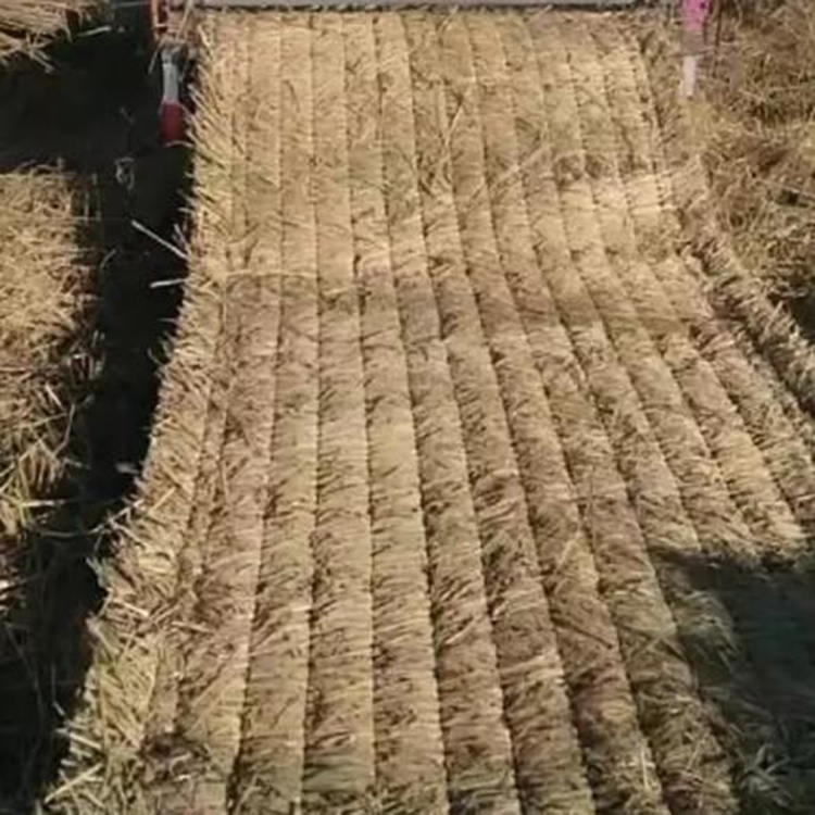 芭乐最新下载网站进入页面