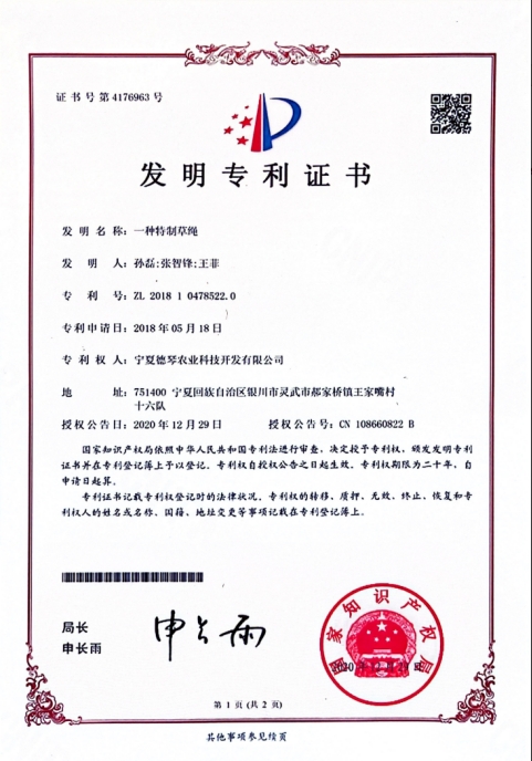 宁夏芭乐视频APP污在线